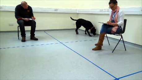 dog with two people in a room